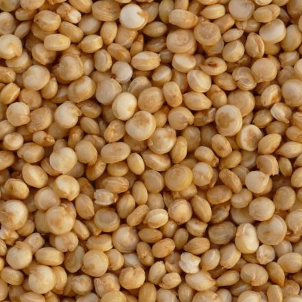 Quinoa (Chenopodium quinoa) vetőmag