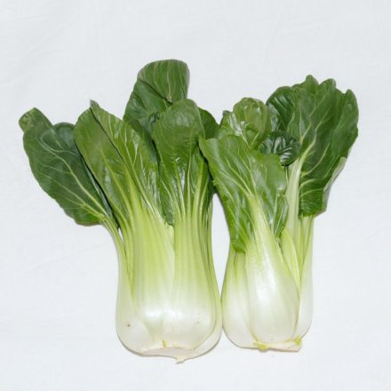 Pak Choi kínai káposzta, zöld (Brassica rapa subsp. chinensis) palánta