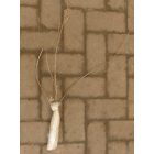 Köszméte, egres ’Invicta’ (Ribes uva-crispa) szabadgyökeres csemete