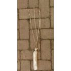 Fekete ribizli, ribiszke ’Dorottya’ (Ribes nigrum) szabadgyökeres csemete